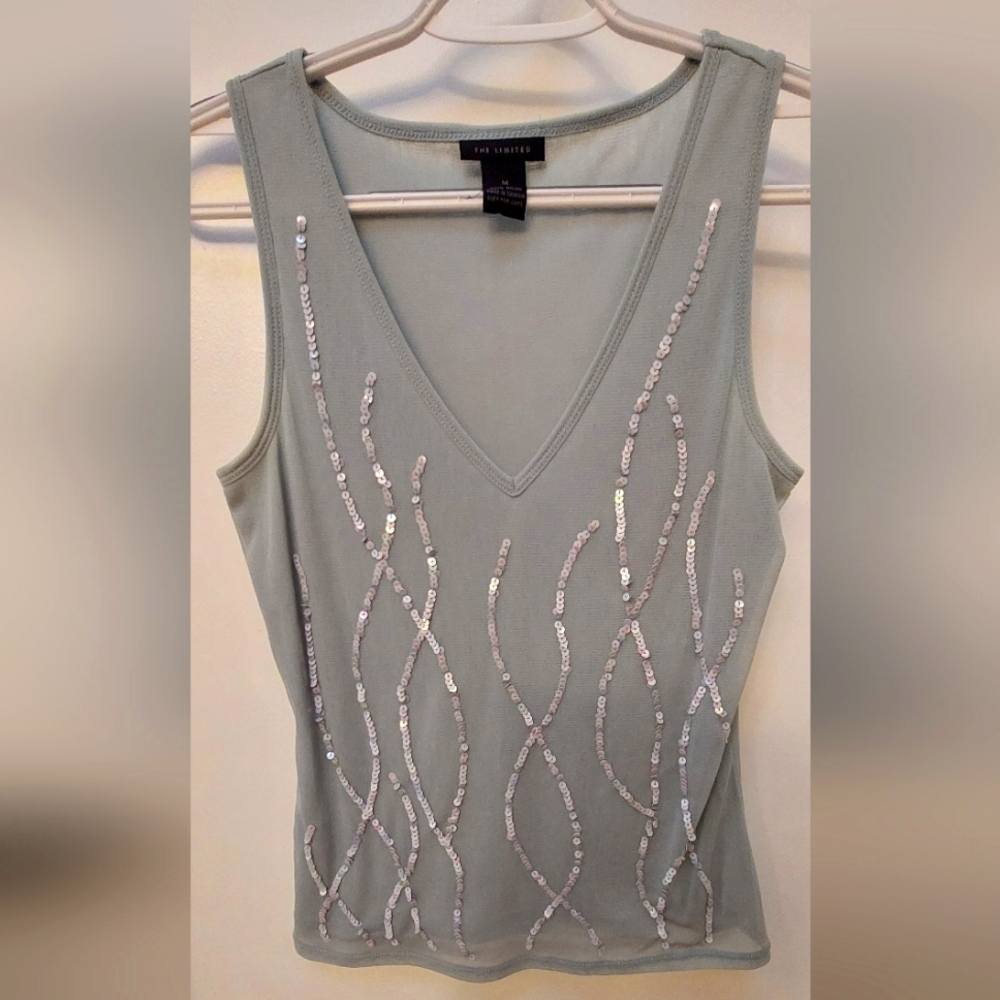 The Limited Embroidered Sheer Top in Greyish Blue Size M